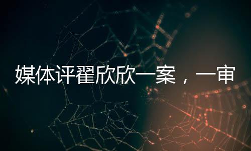 媒體評(píng)翟欣欣一案，一審認(rèn)罪認(rèn)罰，法律如何衡量情感與正義？