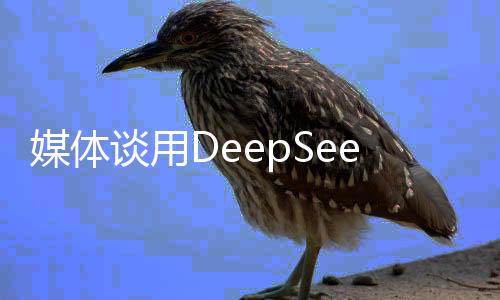 媒體談用DeepSeek創(chuàng)收的小公司
