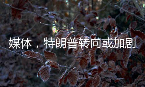 媒體，特朗普轉(zhuǎn)向或加劇美股拋售