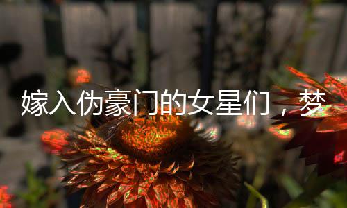 嫁入偽豪門的女星們，夢想與現(xiàn)實間的困局