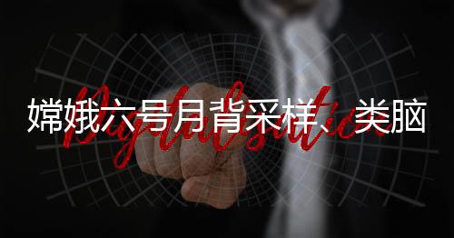 嫦娥六號月背采樣、類腦互補視覺芯片等入選2024中國十大科技進展
