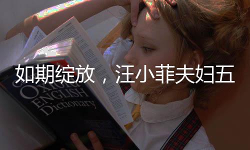 如期綻放，汪小菲夫婦五月婚禮盛大舉行