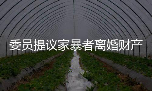 委員提議家暴者離婚財產(chǎn)分配需少分或不分，引起社會熱議
