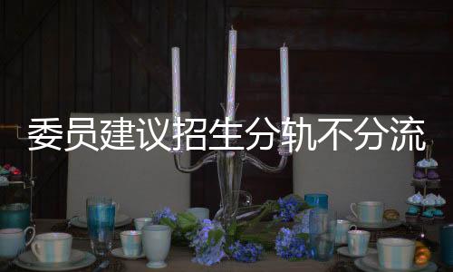 委員建議招生分軌不分流，探討多元化招生路徑與平等教育機(jī)遇