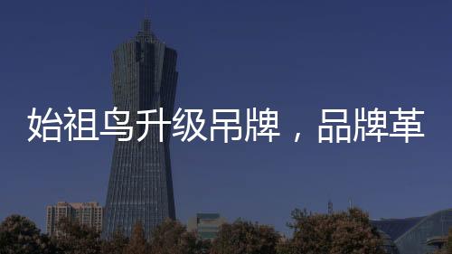 始祖鳥升級吊牌，品牌革新與時(shí)尚魅力的融合篇章