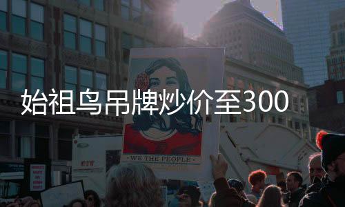 始祖鳥吊牌炒價至300元，探索時尚界的珍稀收藏品現(xiàn)象