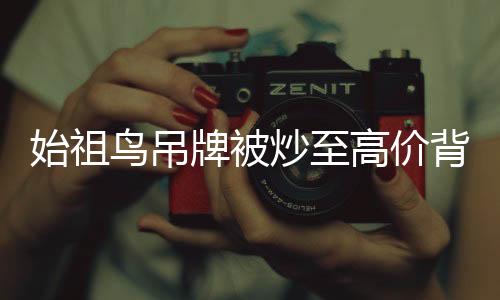始祖鳥吊牌被炒至高價背后的故事