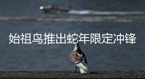 始祖鳥推出蛇年限定沖鋒衣新品，備受矚目！售價高達8200元，引領戶外潮流新風尚！
