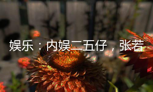 娛樂：內(nèi)娛二五仔，張若楠讓我鑿