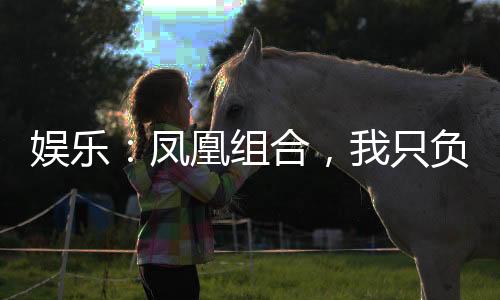 娛樂：鳳凰組合，我只負(fù)責(zé)摸魚！
