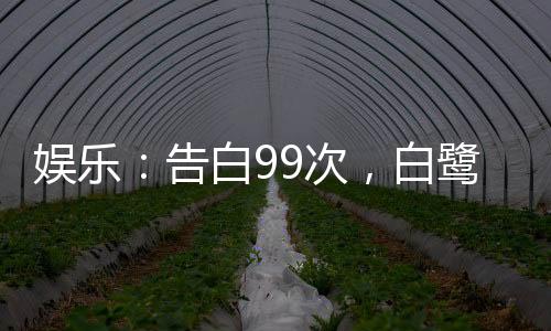 娛樂：告白99次，白鷺人設(shè)崩了