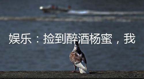 娛樂(lè)：撿到醉酒楊蜜，我軟飯硬吃