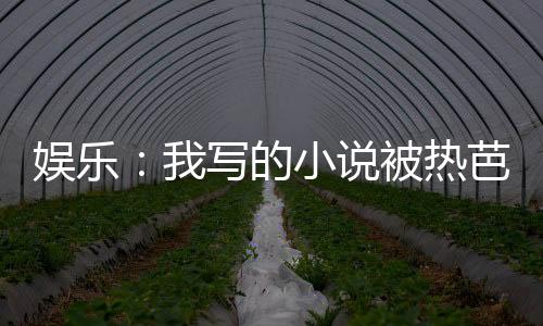 娛樂：我寫的小說被熱芭催更了！