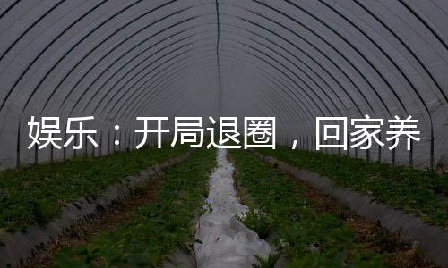 娛樂：開局退圈，回家養(yǎng)豬了！