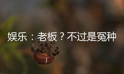 娛樂：老板？不過(guò)是冤種罷了！