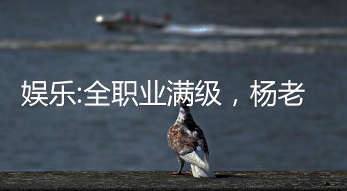 娛樂:全職業(yè)滿級，楊老板求蹭飯