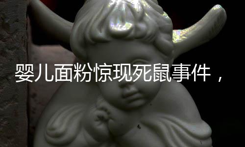 嬰兒面粉驚現(xiàn)死鼠事件，深度剖析與反思