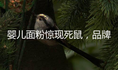 嬰兒面粉驚現(xiàn)死鼠，品牌方緊急要求檢測鼠齡——一次引發(fā)深思的產(chǎn)品質(zhì)量問題