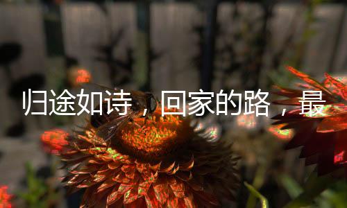 歸途如詩(shī)，回家的路，最美的風(fēng)景