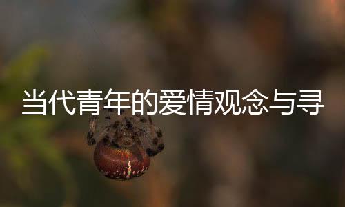 當(dāng)代青年的愛情觀念與尋求之旅——以一位23歲女研究生的兩萬(wàn)尋愛經(jīng)歷為觀察點(diǎn)