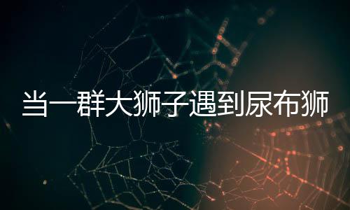 當(dāng)一群大獅子遇到尿布獅，獨特現(xiàn)象的生態(tài)解讀
