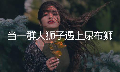當(dāng)一群大獅子遇上尿布獅，奇特現(xiàn)象引發(fā)關(guān)注