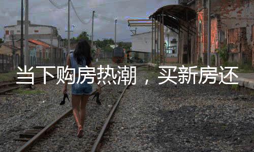 當(dāng)下購(gòu)房熱潮，買新房還是二手房？多方考量引熱議