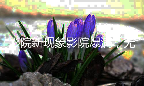 影院新現(xiàn)象影院爆滿，無座票開賣——觀影體驗的新變革