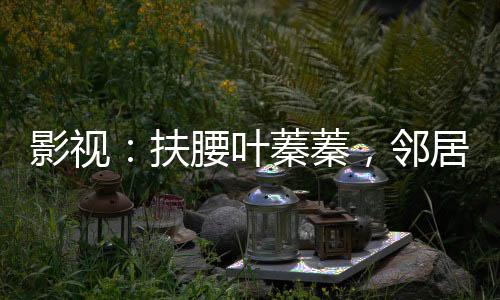 影視：扶腰葉蓁蓁，鄰居喬英子