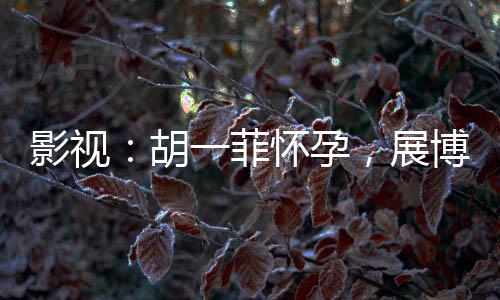影視：胡一菲懷孕，展博被捕入獄