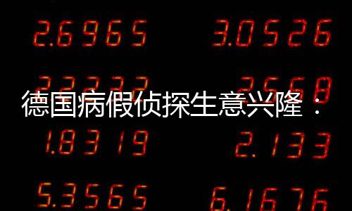 德國病假偵探生意興?。翰〖俾食掷m(xù)上升 老板被迫請病假偵探