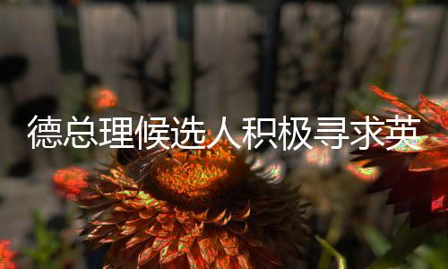 德總理候選人積極尋求英法核武器保護，引發(fā)國際社會關注
