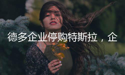 德多企業(yè)停購(gòu)特斯拉，企業(yè)決策背后的深度考量
