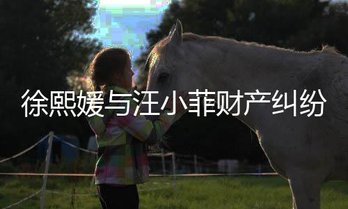 徐熙媛與汪小菲財(cái)產(chǎn)糾紛持續(xù)不斷，涉及金額高達(dá)750萬