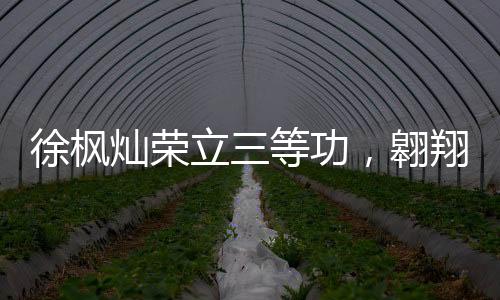 徐楓燦榮立三等功，翱翔藍(lán)天，功勛卓著