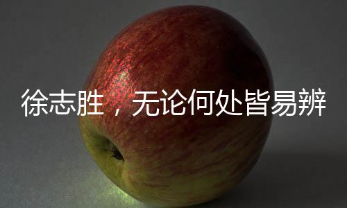 徐志勝，無論何處皆易辨，唯獨家鄉(xiāng)需尋覓