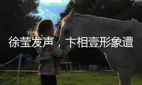 徐瑩發(fā)聲，卞相壹形象遭受毀滅性打擊