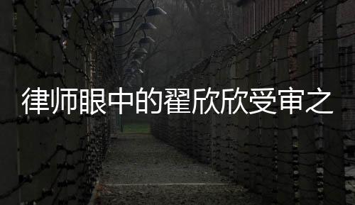 律師眼中的翟欣欣受審之路，其狀態(tài)欠佳