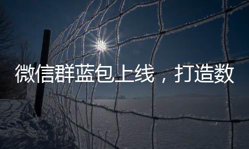 微信群藍(lán)包上線，打造數(shù)字化互動體驗(yàn)新紀(jì)元