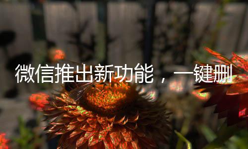 微信推出新功能，一鍵刪除單向好友，輕松管理好友列表