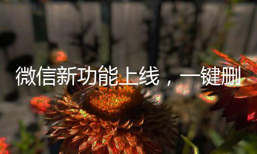 微信新功能上線，一鍵刪除單向好友，輕松維護(hù)社交關(guān)系