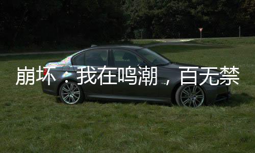 崩壞：我在鳴潮，百無禁忌！