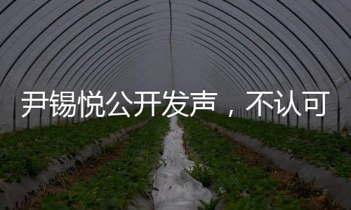 尹錫悅公開發(fā)聲，不認可公調(diào)處調(diào)查結(jié)果