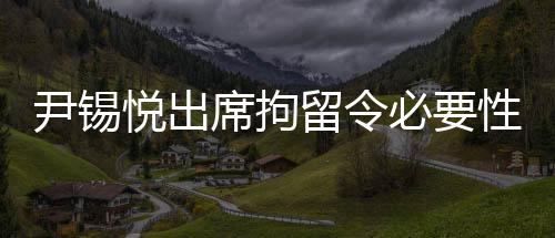 尹錫悅出席拘留令必要性審查，深入剖析法律執(zhí)行的正當(dāng)性