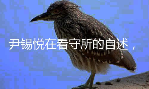 尹錫悅在看守所的自述，一切安好