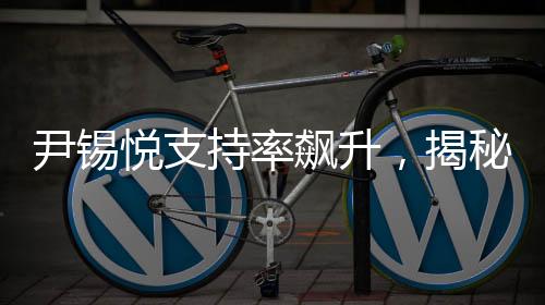 尹錫悅支持率飆升，揭秘背后原因