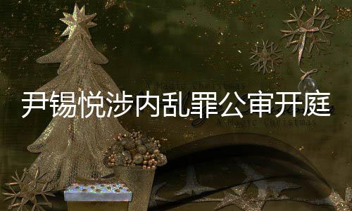 尹錫悅涉內(nèi)亂罪公審開(kāi)庭，案件細(xì)節(jié)逐步揭示