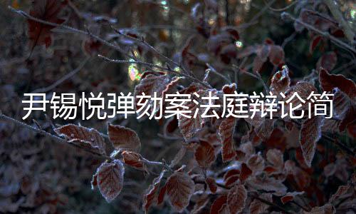 尹錫悅彈劾案法庭辯論簡短，各方辯論觀點(diǎn)分歧明顯