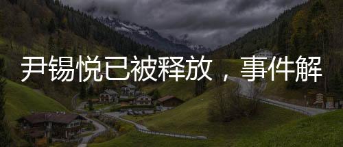 尹錫悅已被釋放，事件解讀與后續(xù)關(guān)注