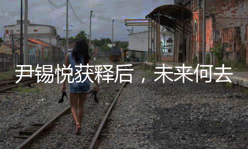 尹錫悅獲釋后，未來何去何從——關(guān)于其職位穩(wěn)定性的探討